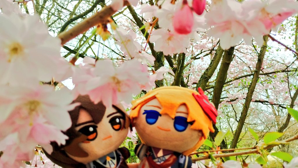 CoffeeAndFluff☕💕 tweet media