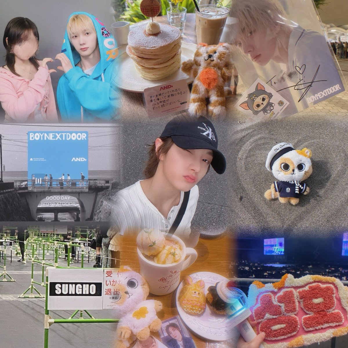 あーね🐾 tweet media