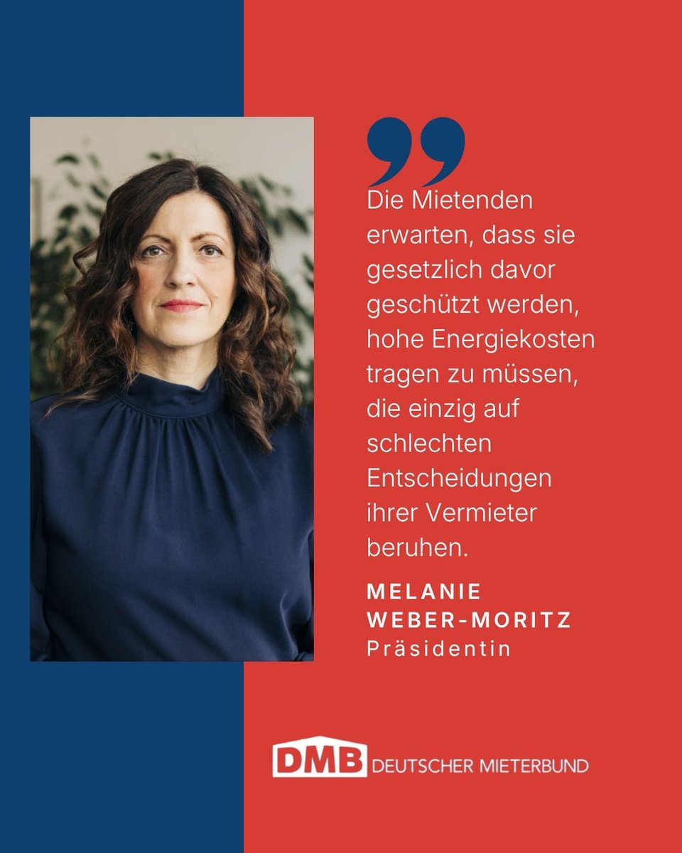 Deutscher Mieterbund tweet media
