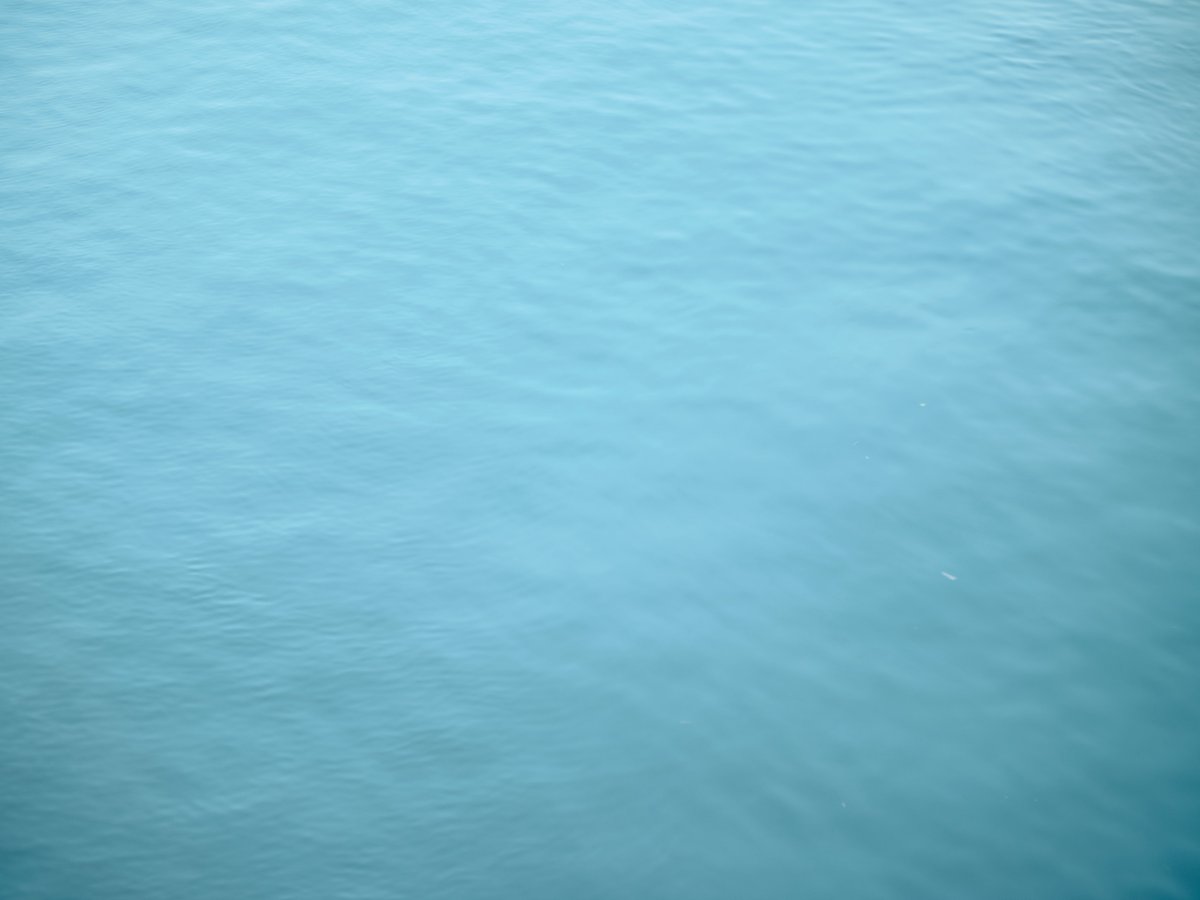 yoshidacamp's tweet image. Pentax 67の105mm f2.4をフォーカルレデューサ経由でGFX50Rに。

定番の名玉なのに、この組み合わせで撮る人は意外と少なくて、写りがすごく新鮮。

中判らしい立体感と、オールドレンズ特有の柔らかさがちょうどいいバランスで共存してる感じ。