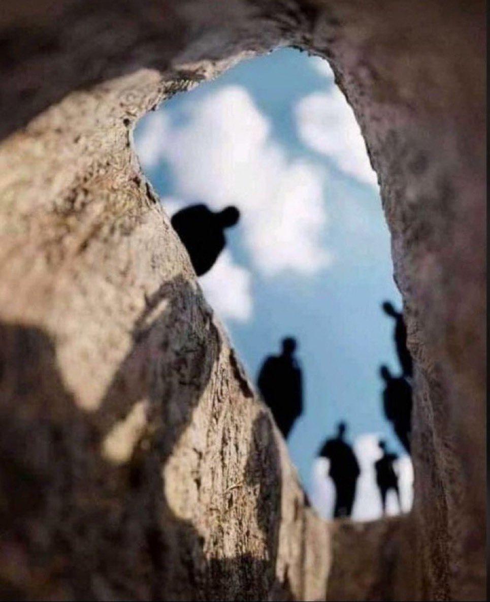 سلطان tweet media