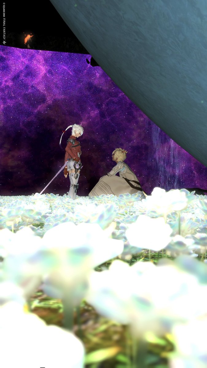 ぶたこ☽ tweet media