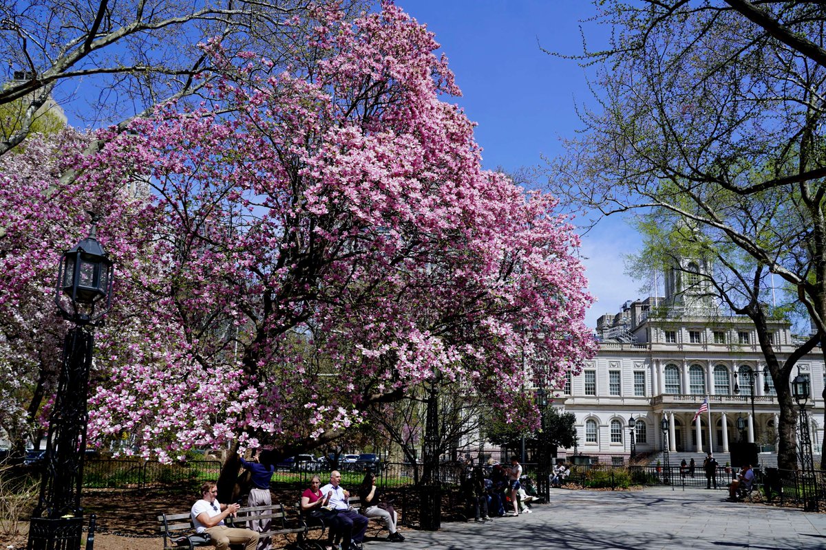 New York City Council tweet media