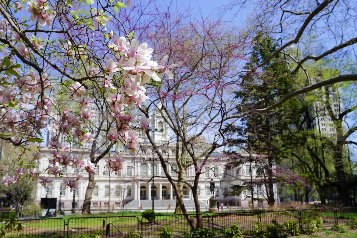 New York City Council tweet media