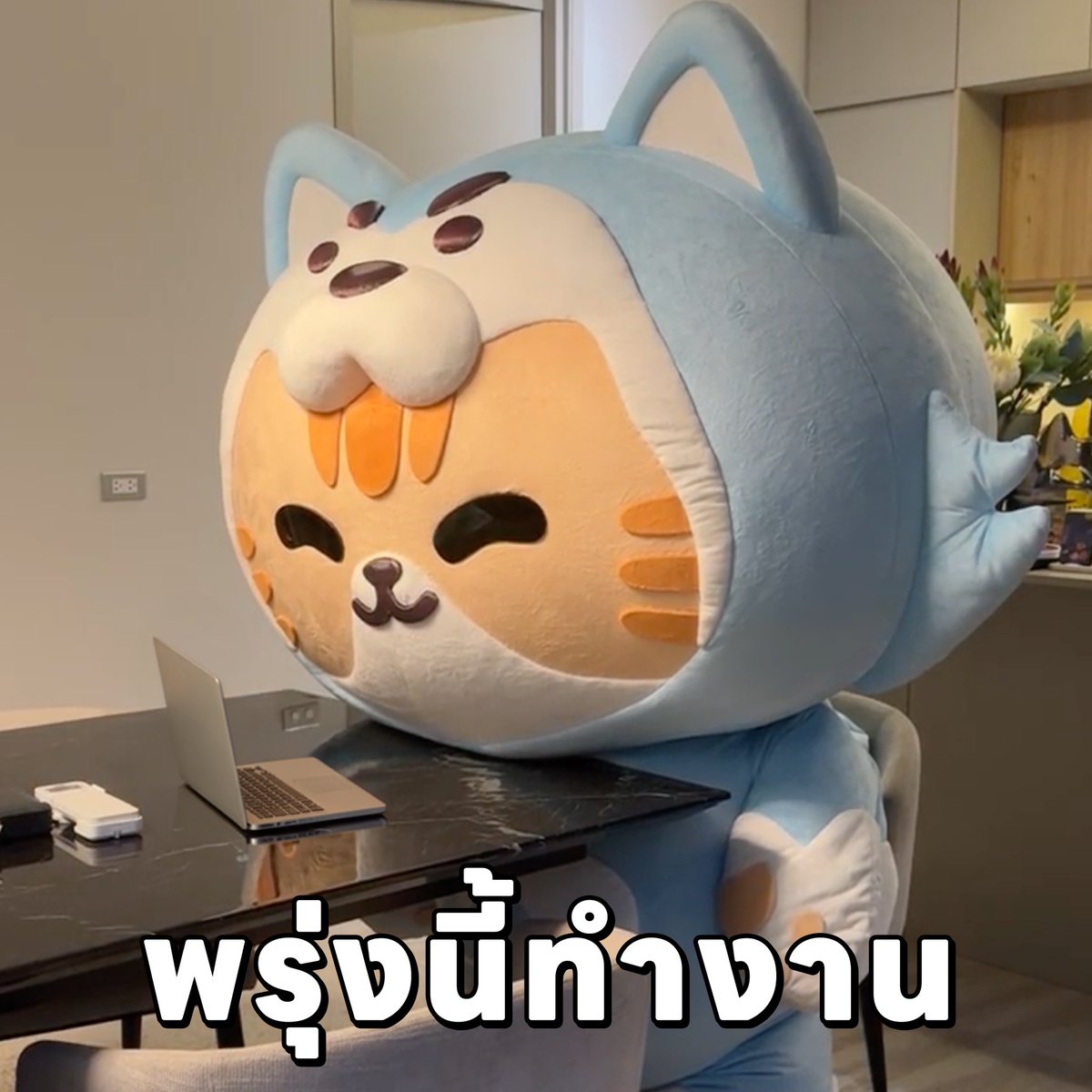 NongZon tweet media
