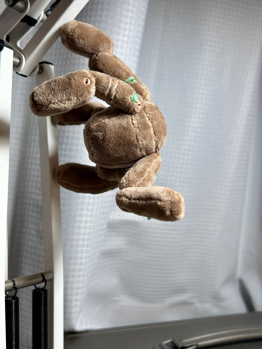 MakoKatsuta(勝田麻子) tweet media