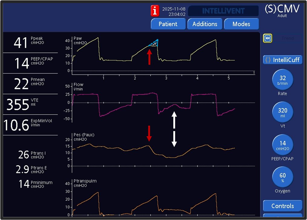 Daniel Rozenbaum tweet media