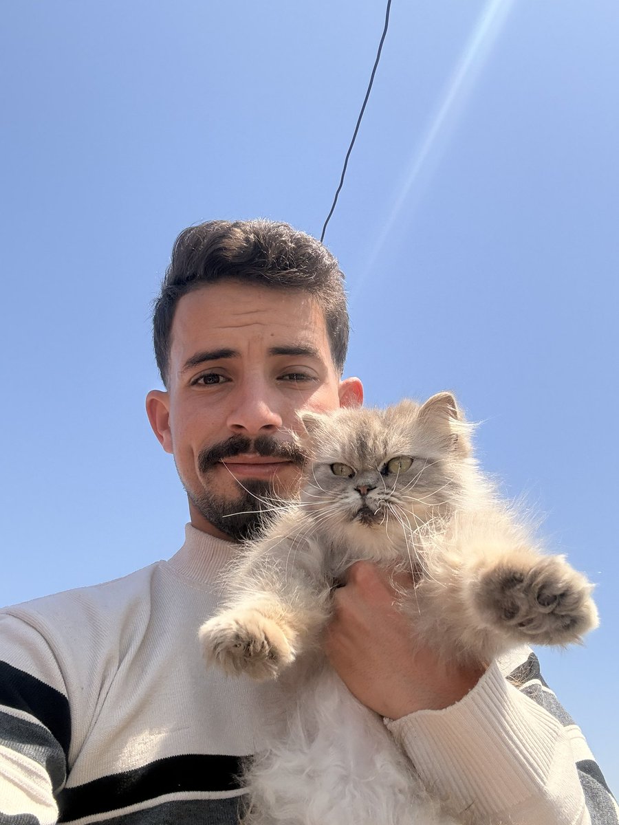 SHARIF 𓂆 tweet media