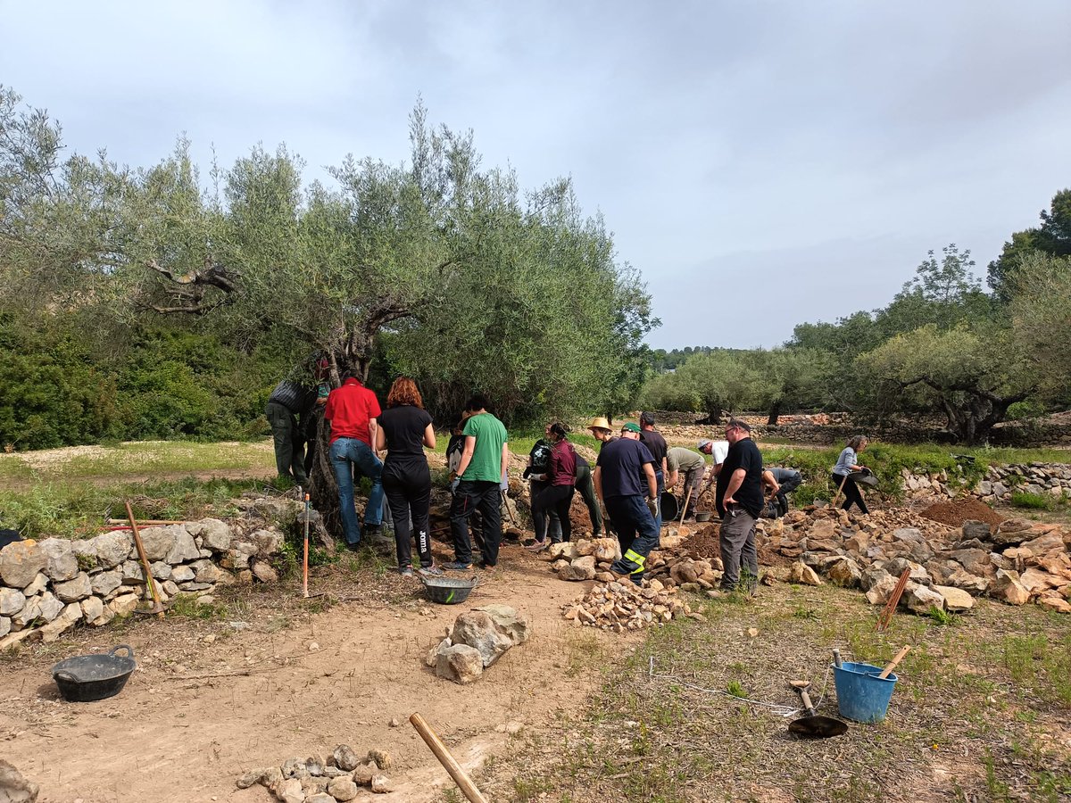 lifeeCOadapt50's tweet photo. 🧱🌿 Al Perelló recuperem la pedra seca, reconeguda per la UNESCO com a Patrimoni Cultural Immaterial.
Des del #Lifeecoadapt50 impulsem cursos per preservar aquest saber clau per a l’adaptació al canvi climàtic
👉 https://t.co/Oy0kFasZNZ
 #pedraseca #UNESCO #dibacat https://t.co/yutGDEQkt7
