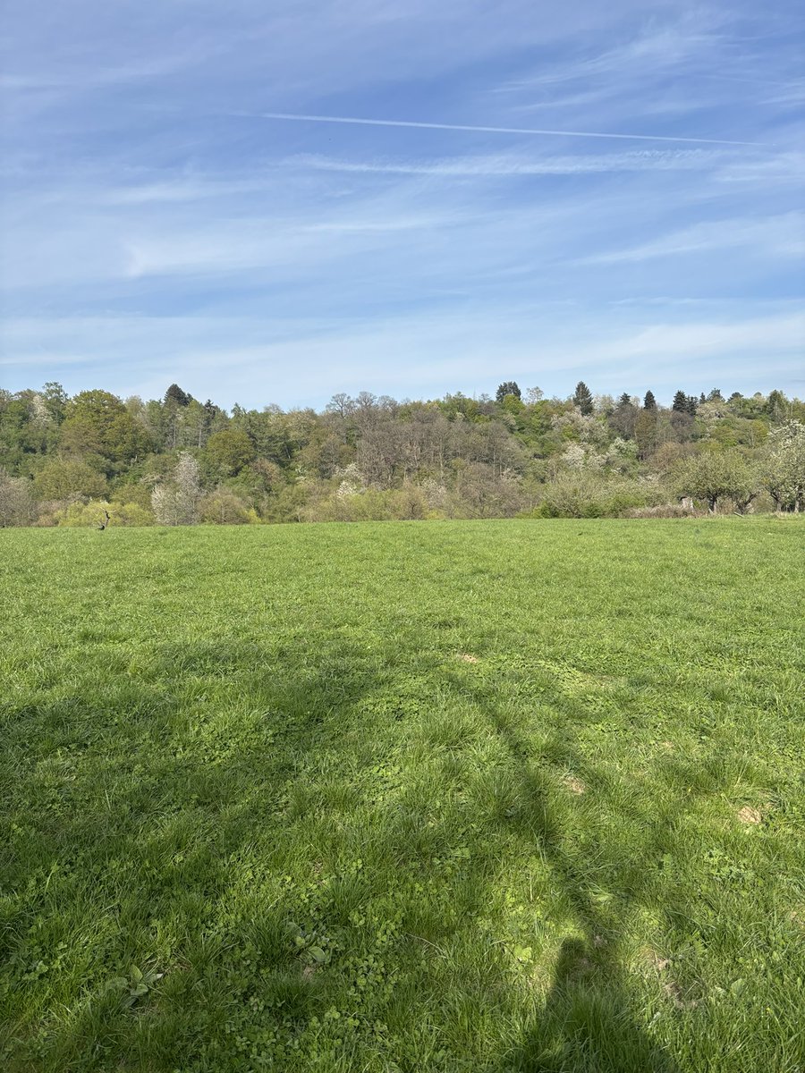 Romantic Ghost tweet media