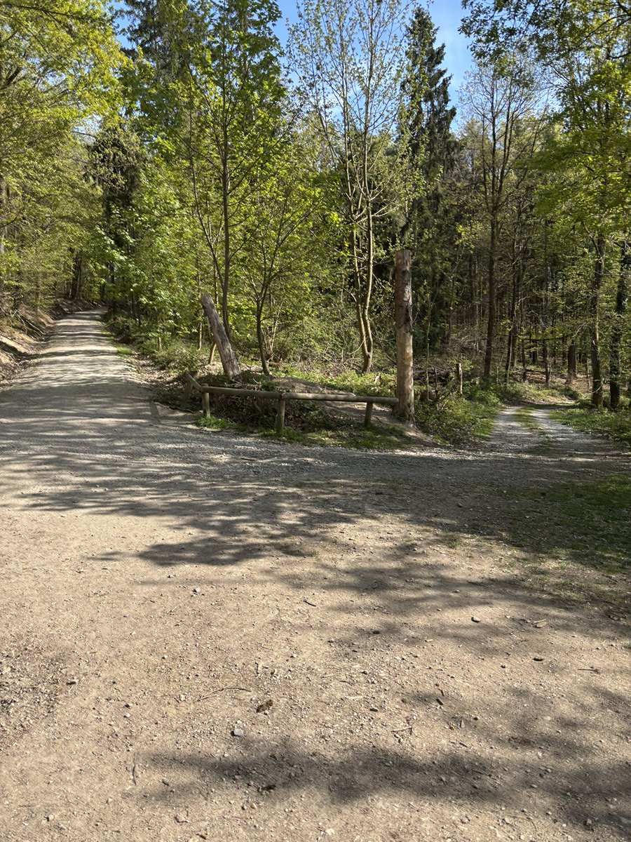 Romantic Ghost tweet media