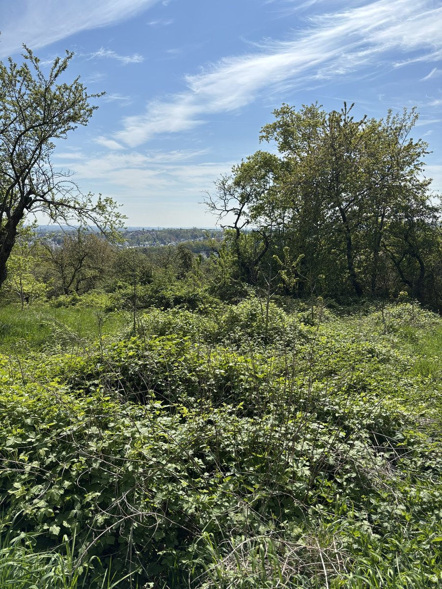 Romantic Ghost tweet media