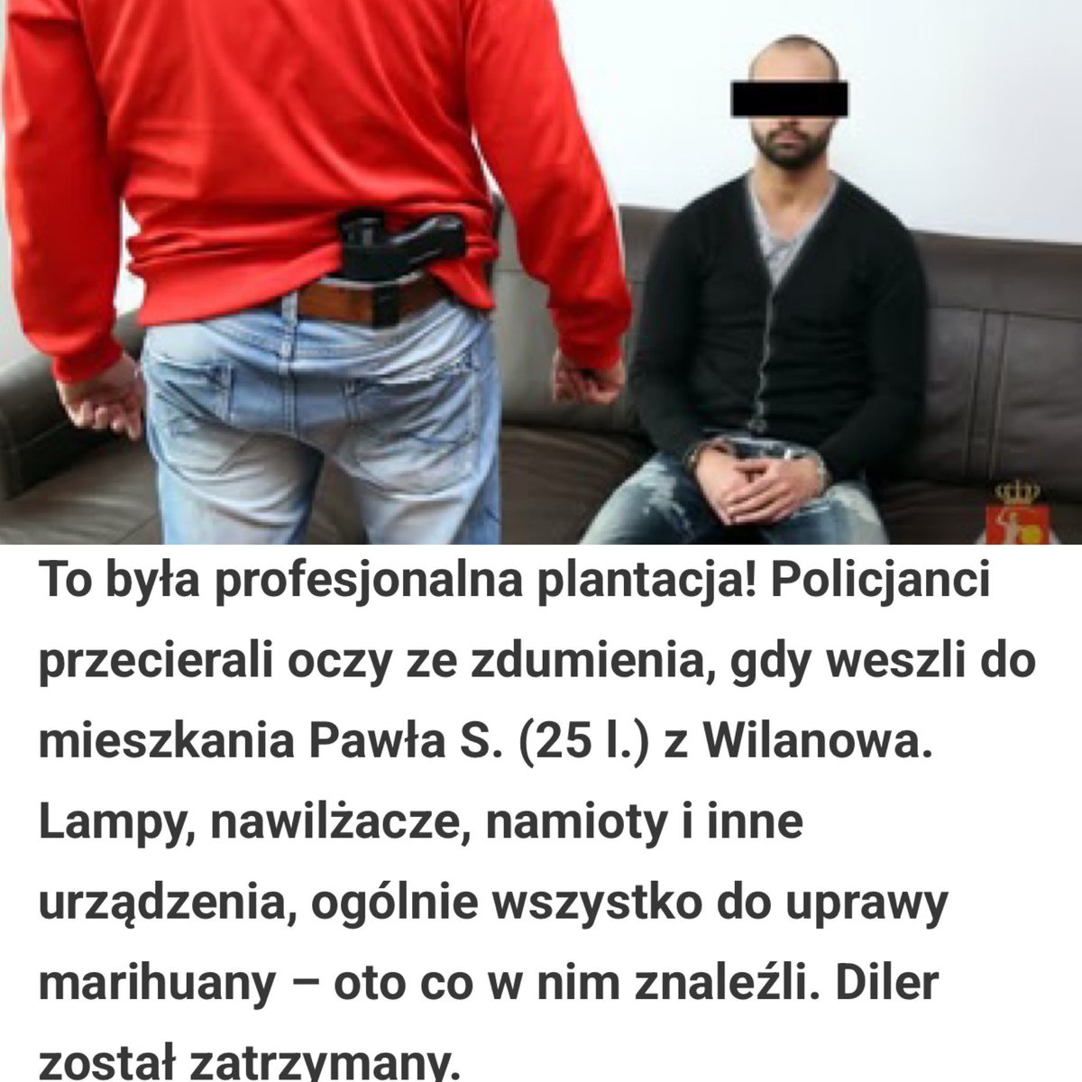 SA Wardega tweet media