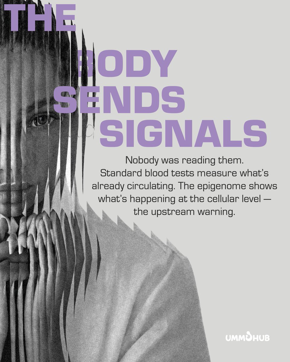 Ummu Hub tweet media