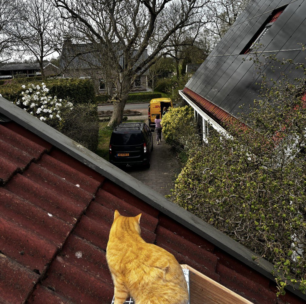 Tammar 🐦 tweet media