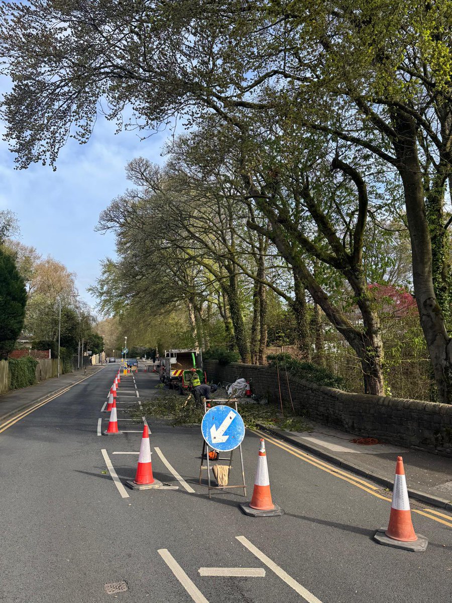 ArielTreeCare's tweet photo. Traffic management required to safely remove a large limb over a main road and crown lift and crown clean two sycamores. 
#arieltreecare #boltontreesurgeon #localtreesurgeon #hedgetrimming #treepruning #professional #qualifiedtreesurgeon #treeservices #treecare https://t.co/qxxxvL0tQb