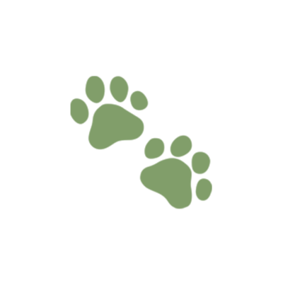 ⋆˚🐾˖°‍‍ ‍ ‍𝙱𝙴𝙰𝚂𝚃 𝙱𝙾𝚈 .ᐟ tweet media