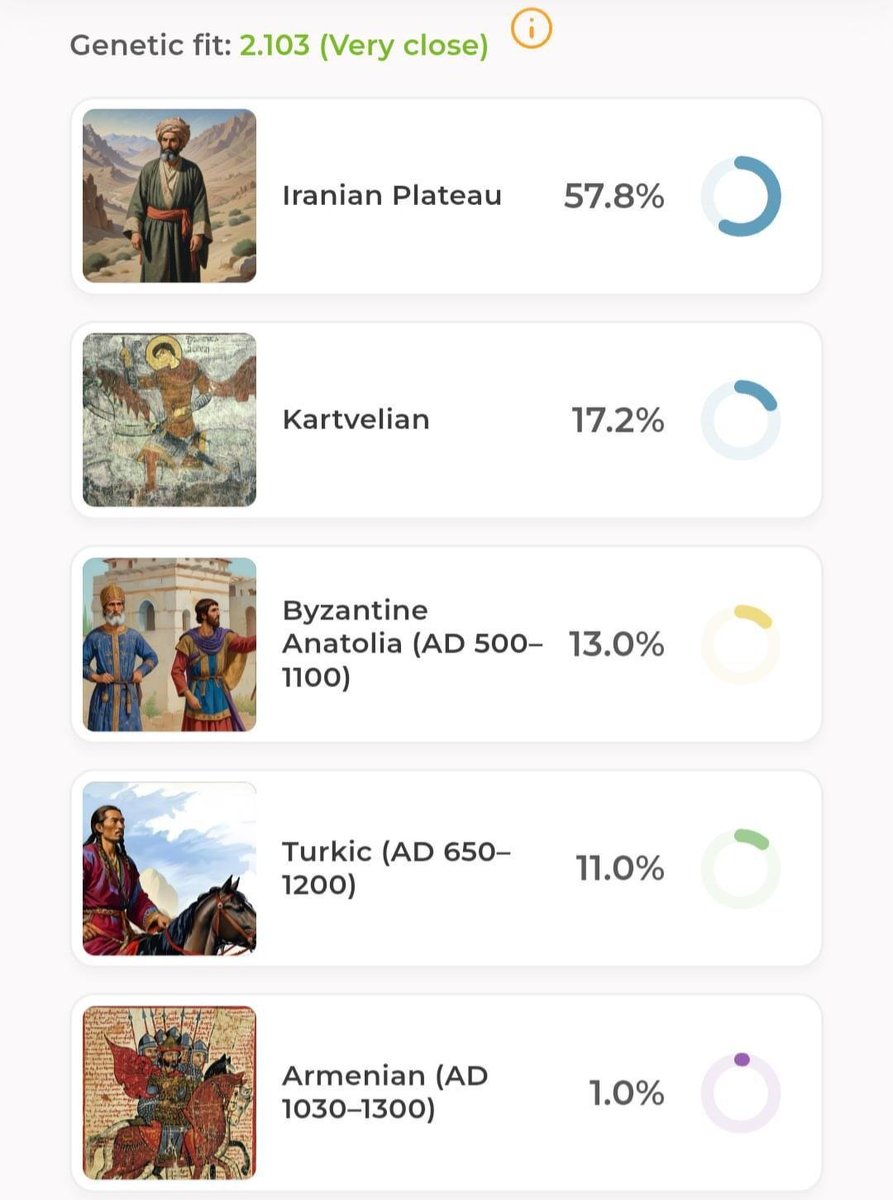 Qizilbash DNA Project tweet media