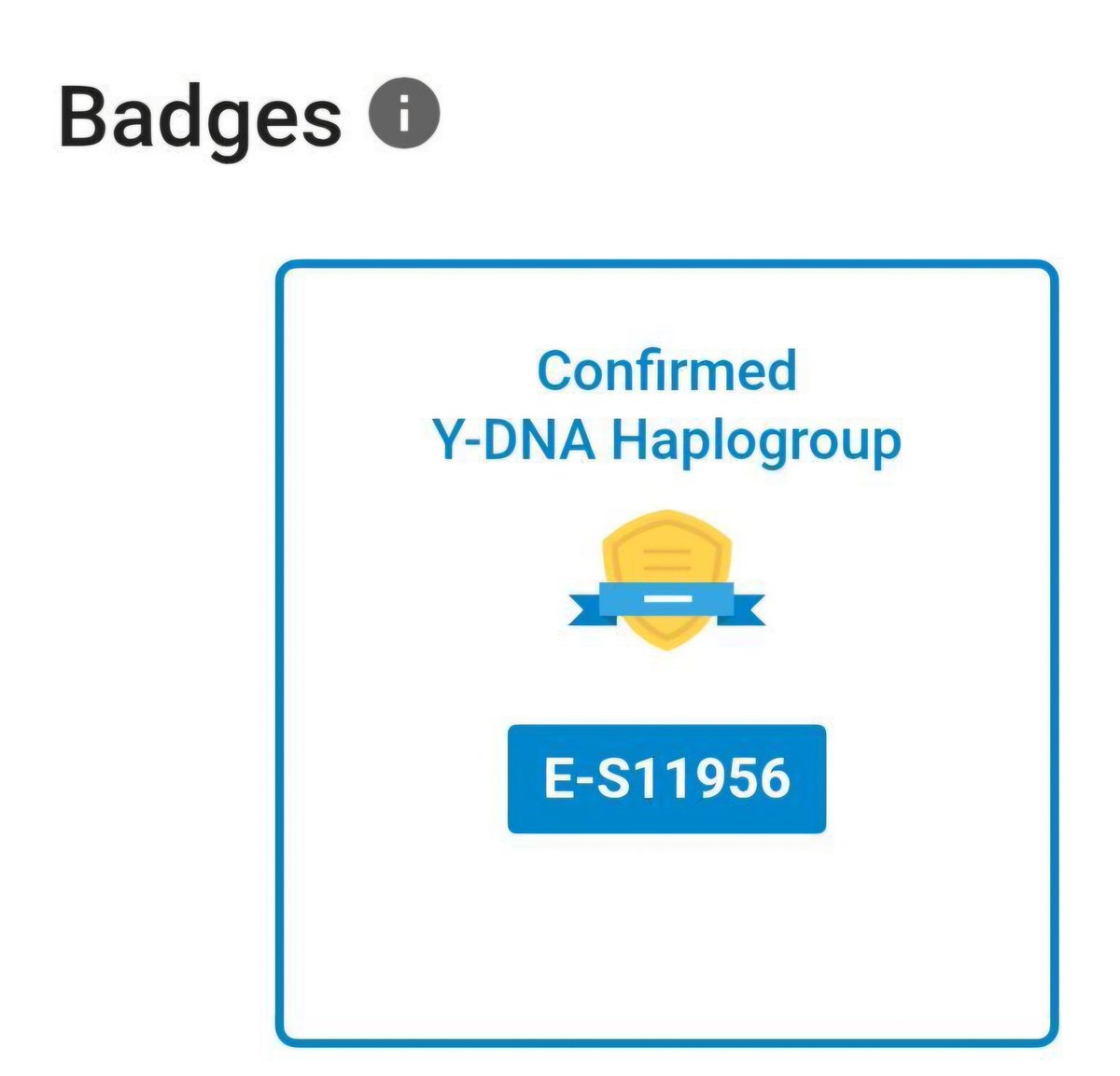 Qizilbash DNA Project tweet media