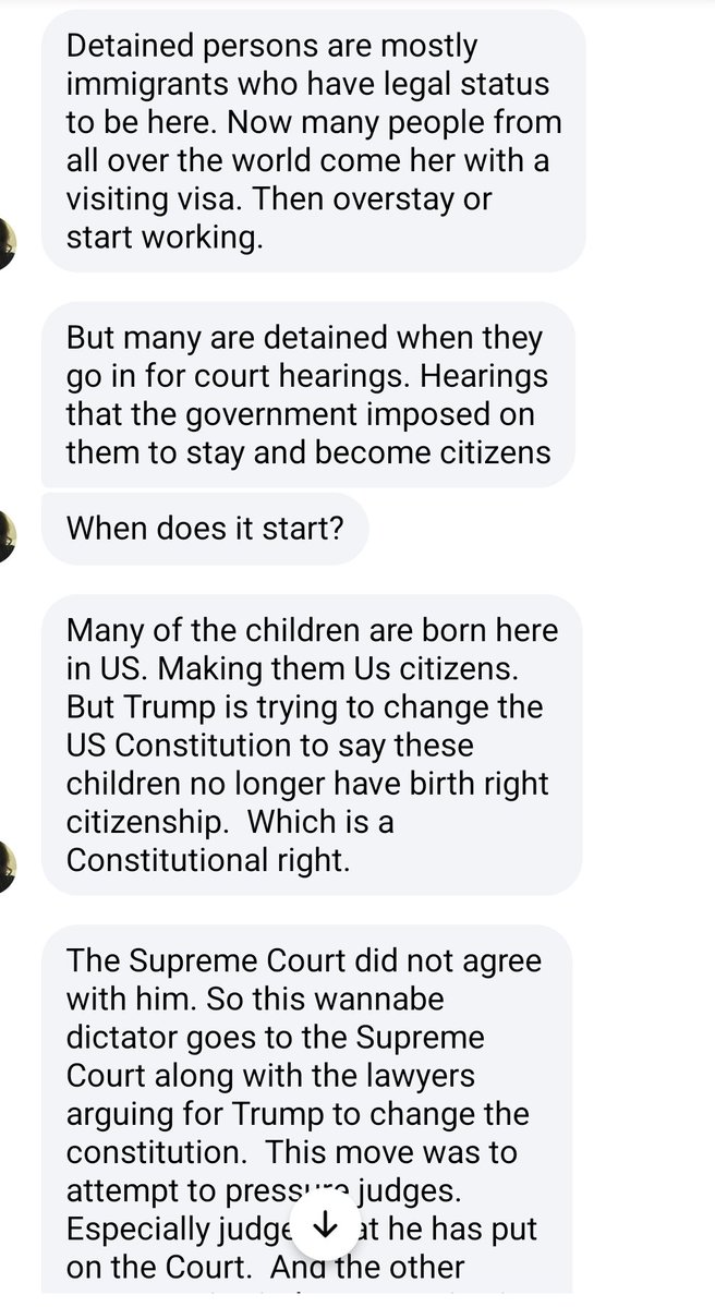 Nanna Paludan Feld tweet media