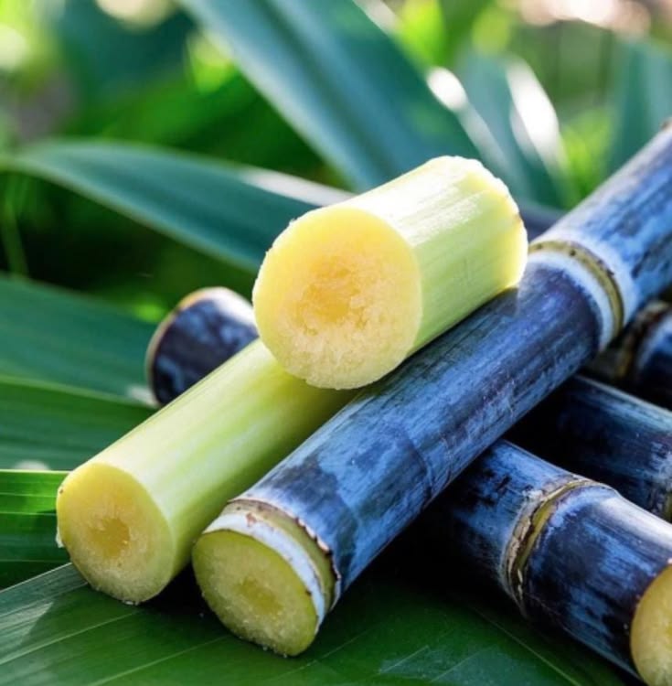 NaijaFarmer tweet media