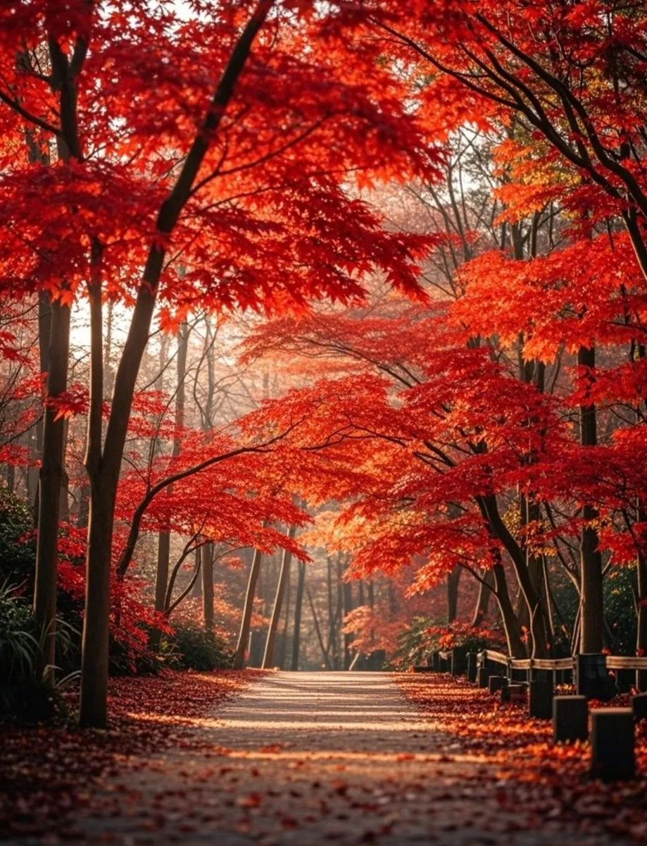 gold wing tweet media