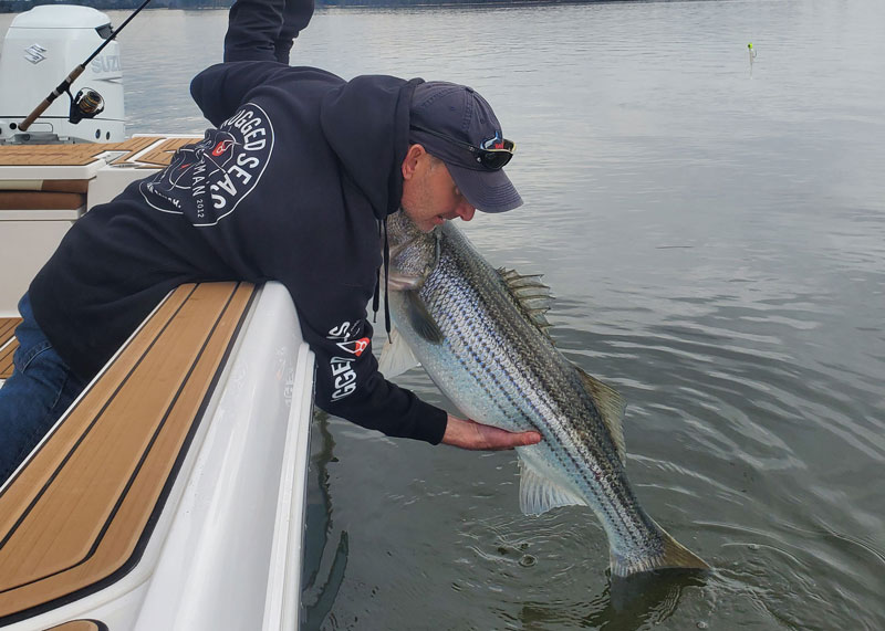 FishTalkMag's tweet photo. People, it’s April. And for 2026 that means we’re back in business. Replace those leaders, dust off that tacklebox, and inspect those hooks, because catch and release #fishing for preseason rockfish is open once again. https://t.co/YMq1gKvwoT https://t.co/kUkKE0teFW