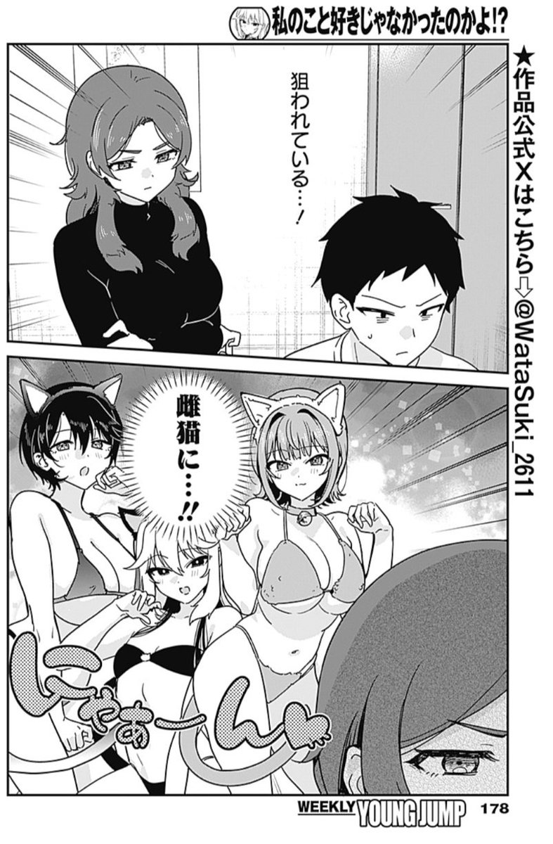 【公式】私のこと好きじゃなかったのかよ!?　♥2/12連載スタート♥ tweet media