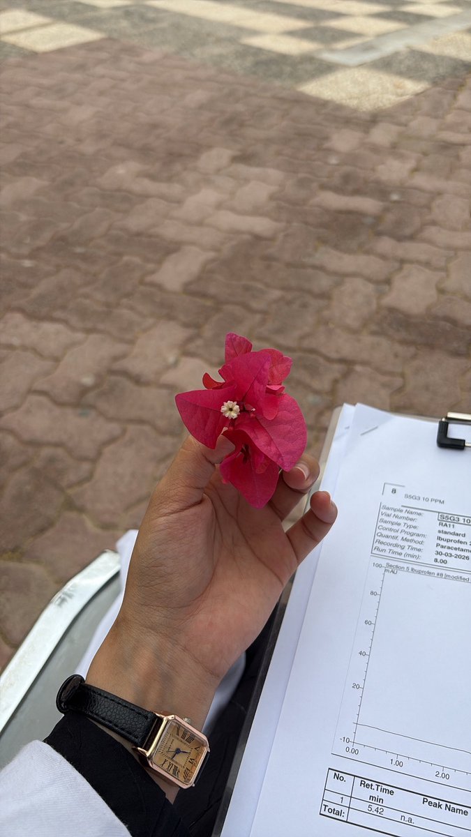 اليَمامة ₊˚⊹ tweet media