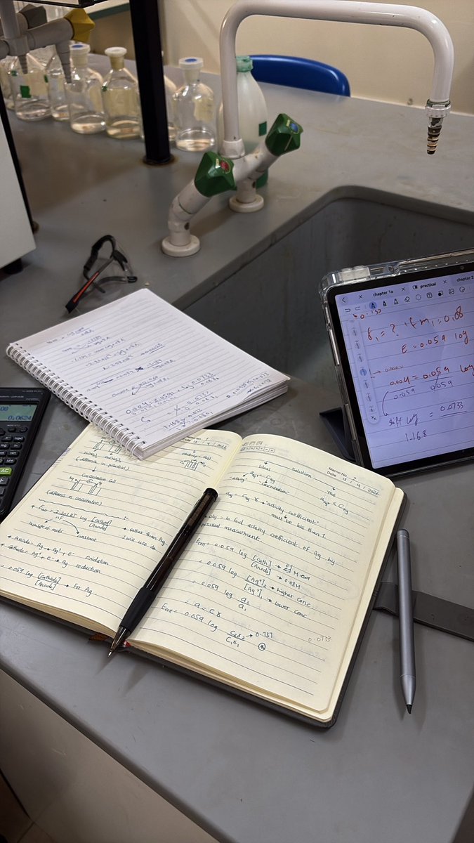 اليَمامة ₊˚⊹ tweet media