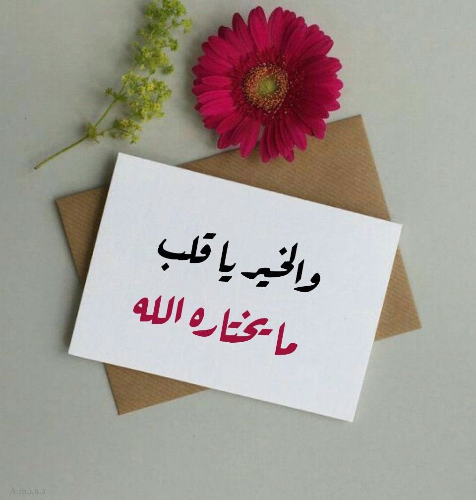 حــــنان💜 tweet media