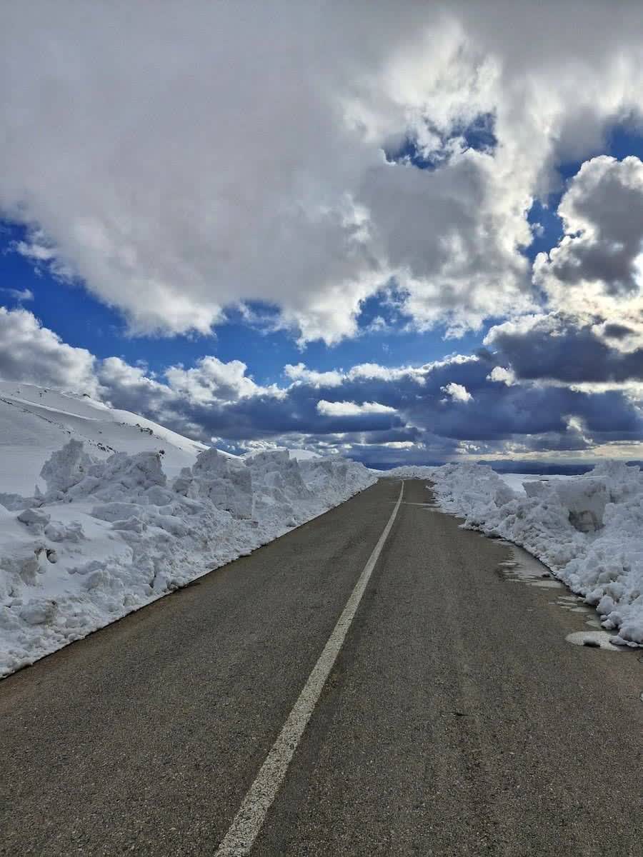 سارا نیکدل tweet media