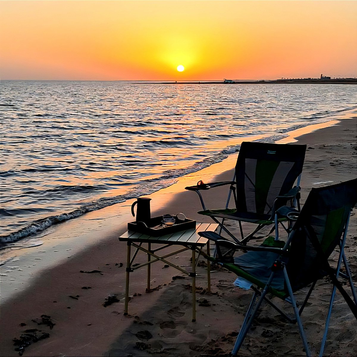 شمالي tweet media