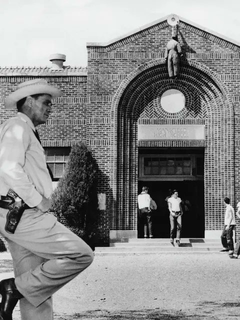 Songbird Rescue Cat tweet media