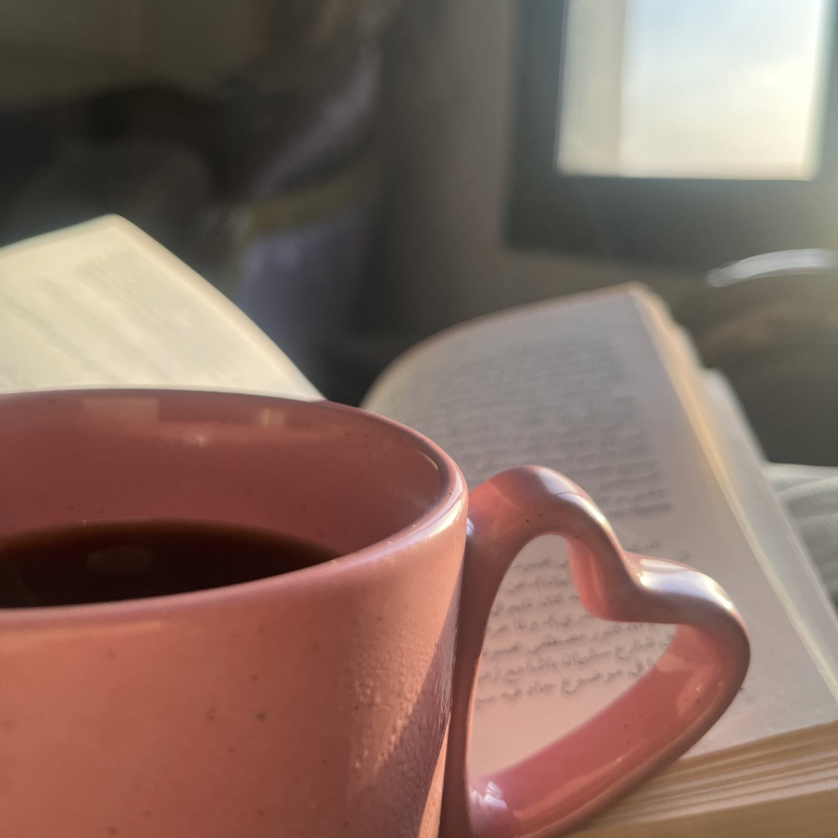 ltsjanna's tweet photo. A little coffee, a little sunlight..your troubles will get smaller ☕️☀️.. https://t.co/7vWWdsGqmz