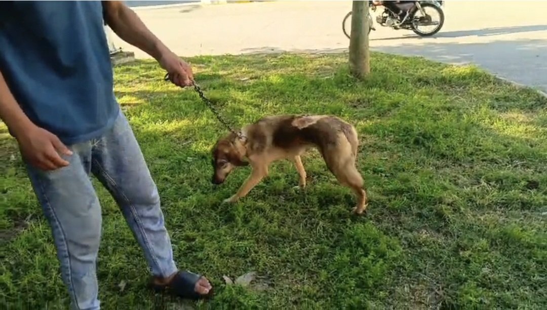 Let's Save Welfare tweet media