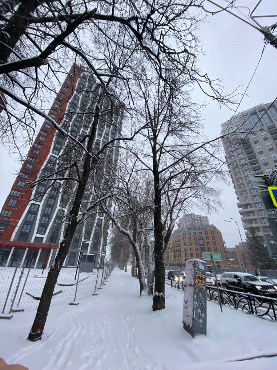 Нетоткот tweet media