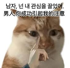 달팽이집 tweet media