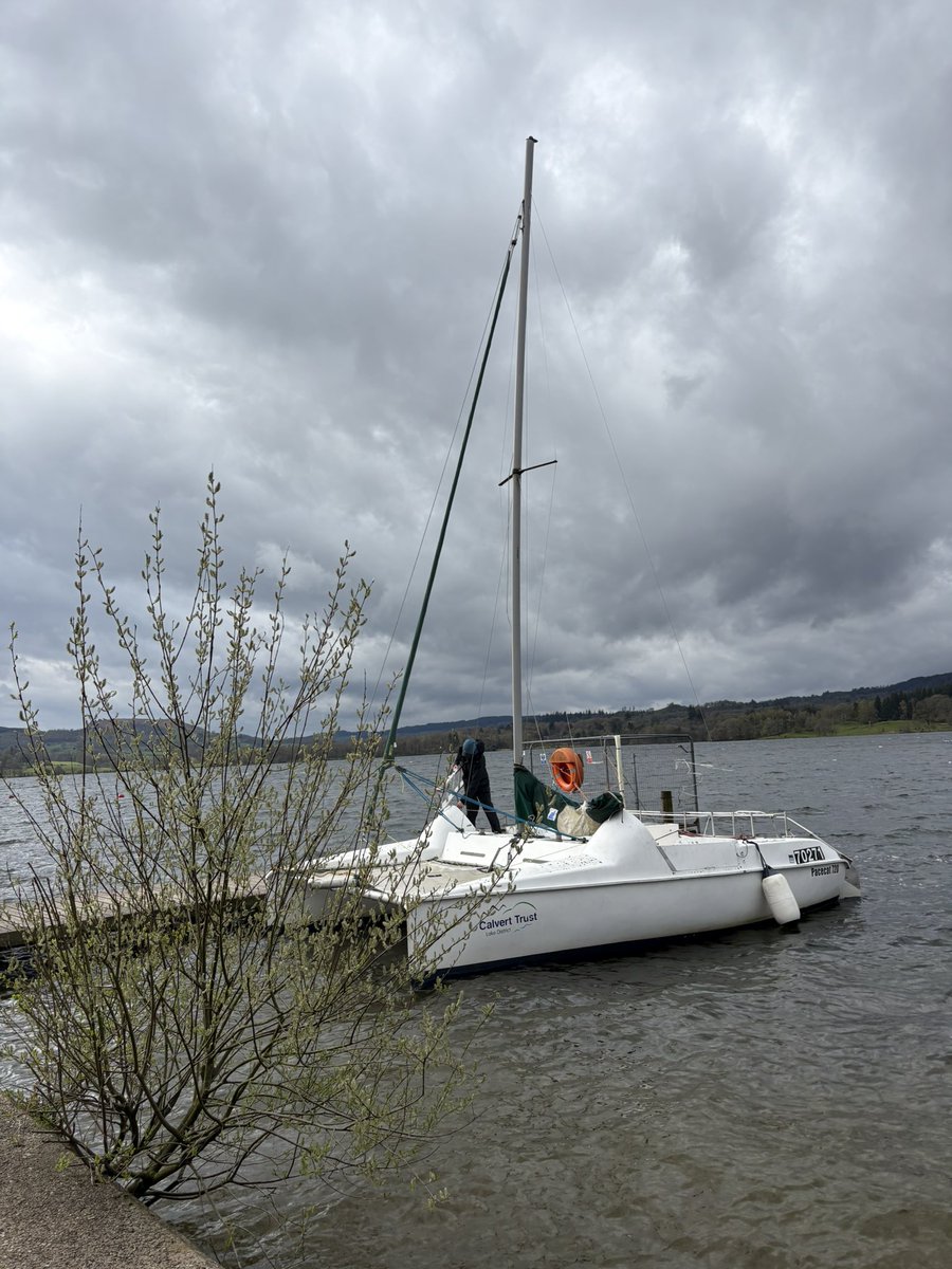 ✨ #TeamLeonie ✨ tweet media