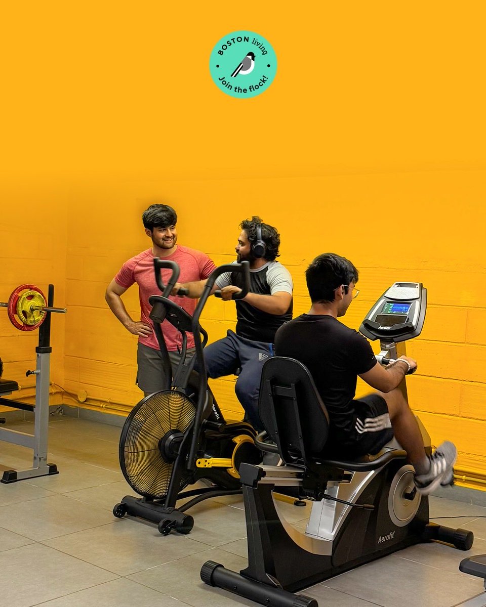 Boston Living tweet media