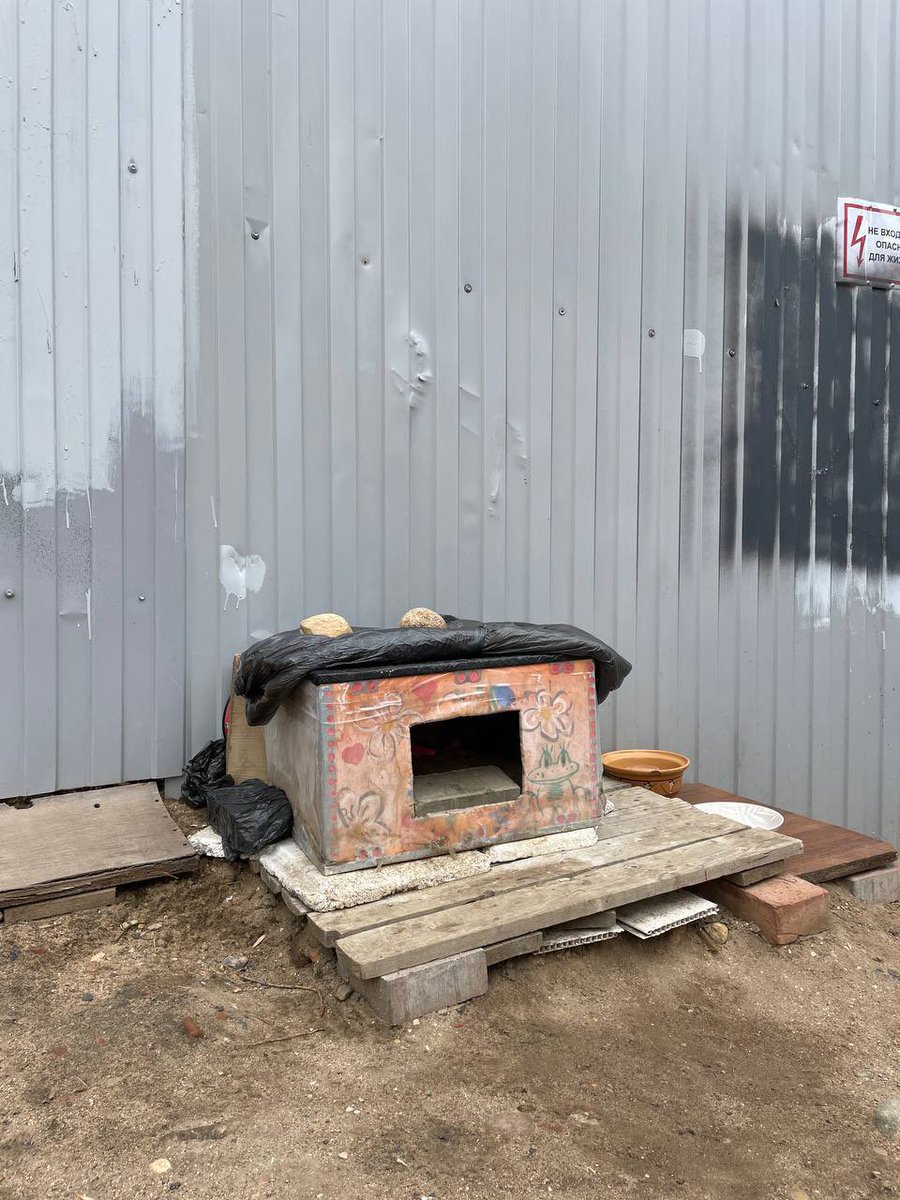 нежная бусечка tweet media