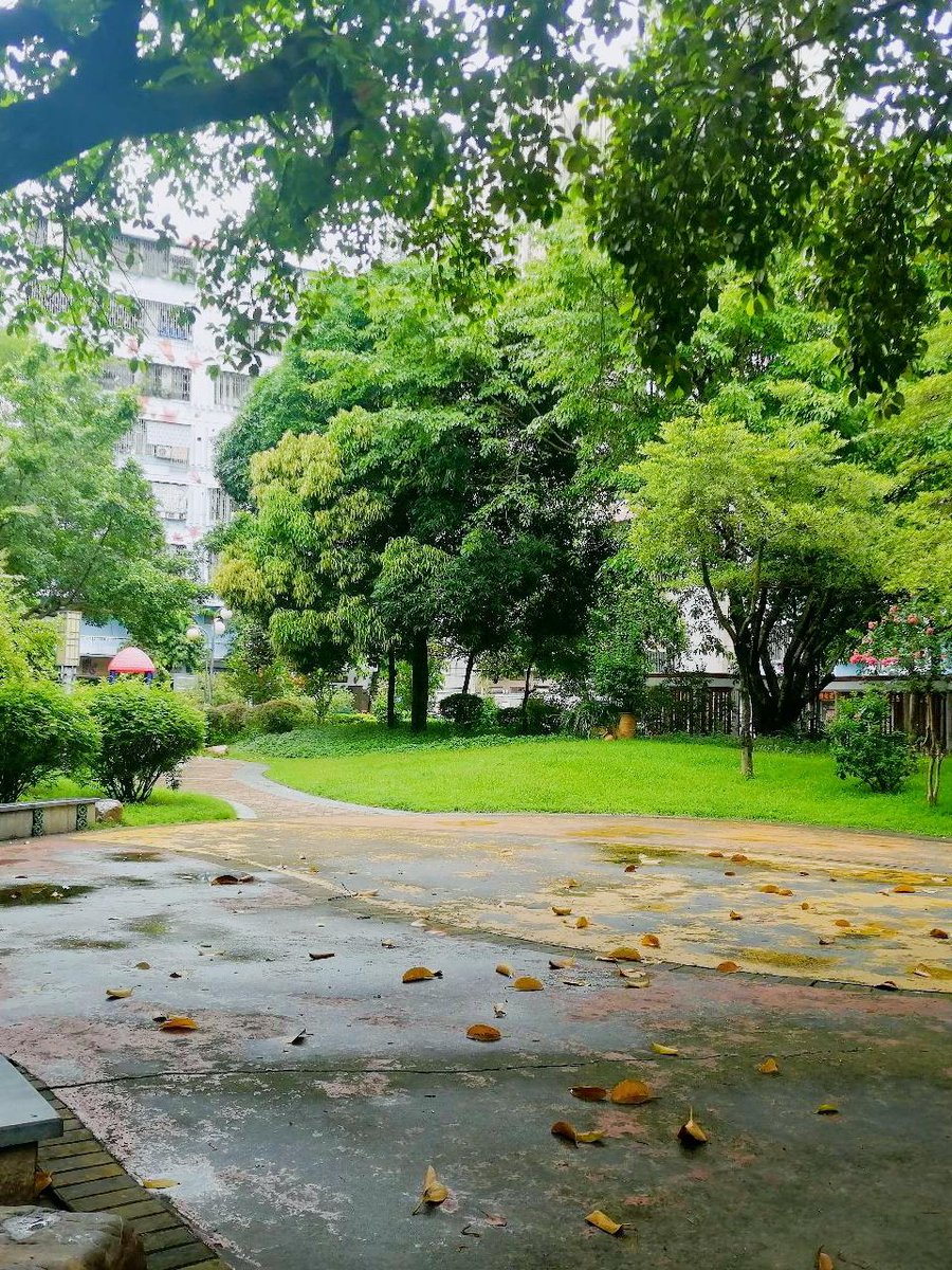 jimi maguffin tweet media