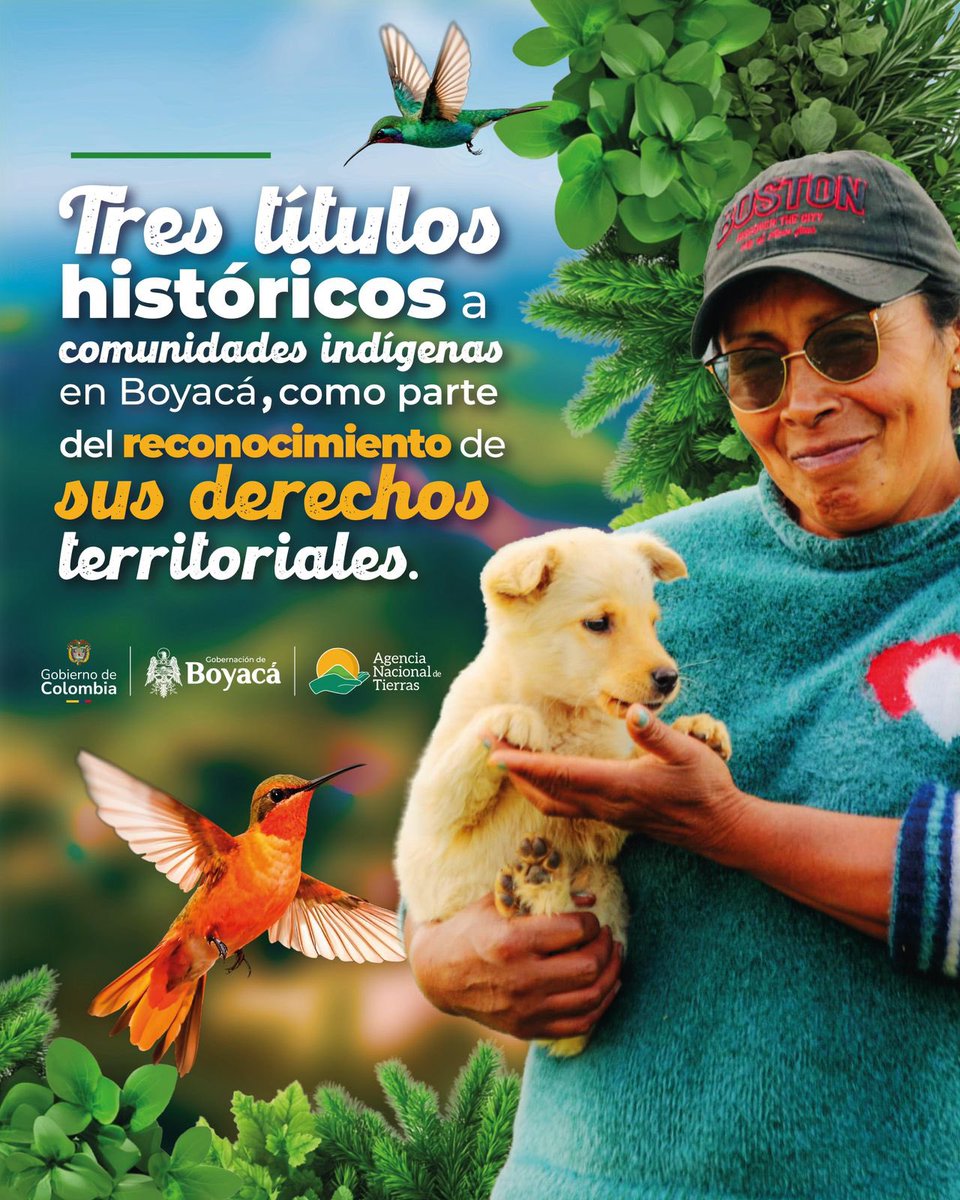 PereaFarlin's tweet photo. Con estos títulos logramos que más comunidades étnicas asentadas en el departamento puedan ser sujetos de la Reforma Agraria y se reconozcan sus derechos adquiridos en el territorio.🌽

#TítulosPorBoyacá ✅💪🏾 https://t.co/AC0YlhDrQm