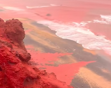 Josh Ferme tweet media