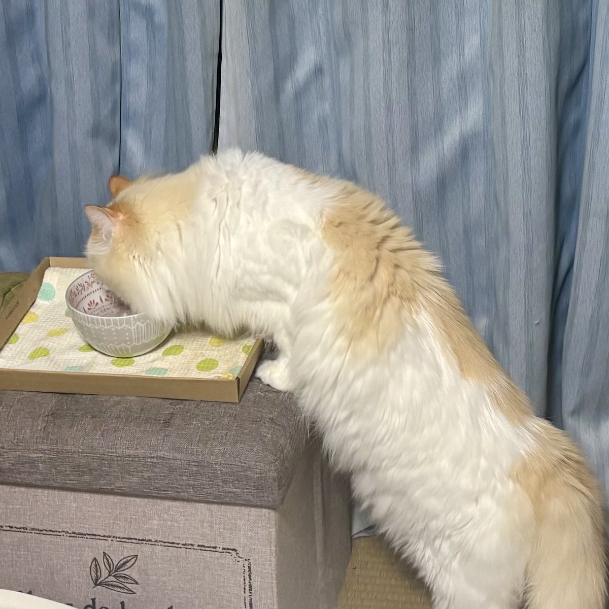 sssssine tweet media