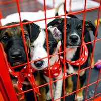 MIBAWI (Michael Barthel) tweet media