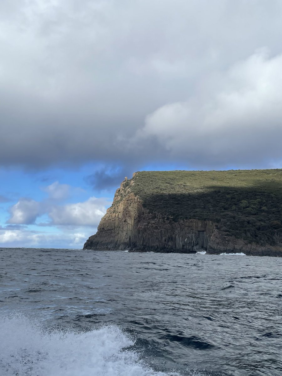 7xyuan✨ tweet media