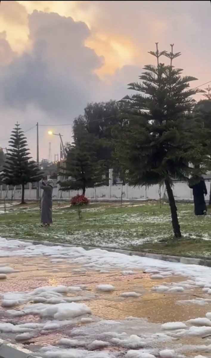 ‏قلب 🤍 ‏. tweet media