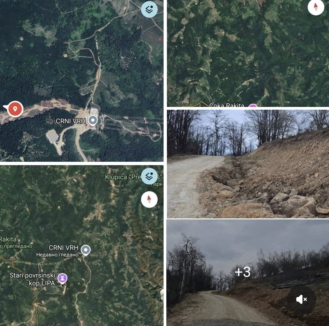 Marin Bodirogić tweet media