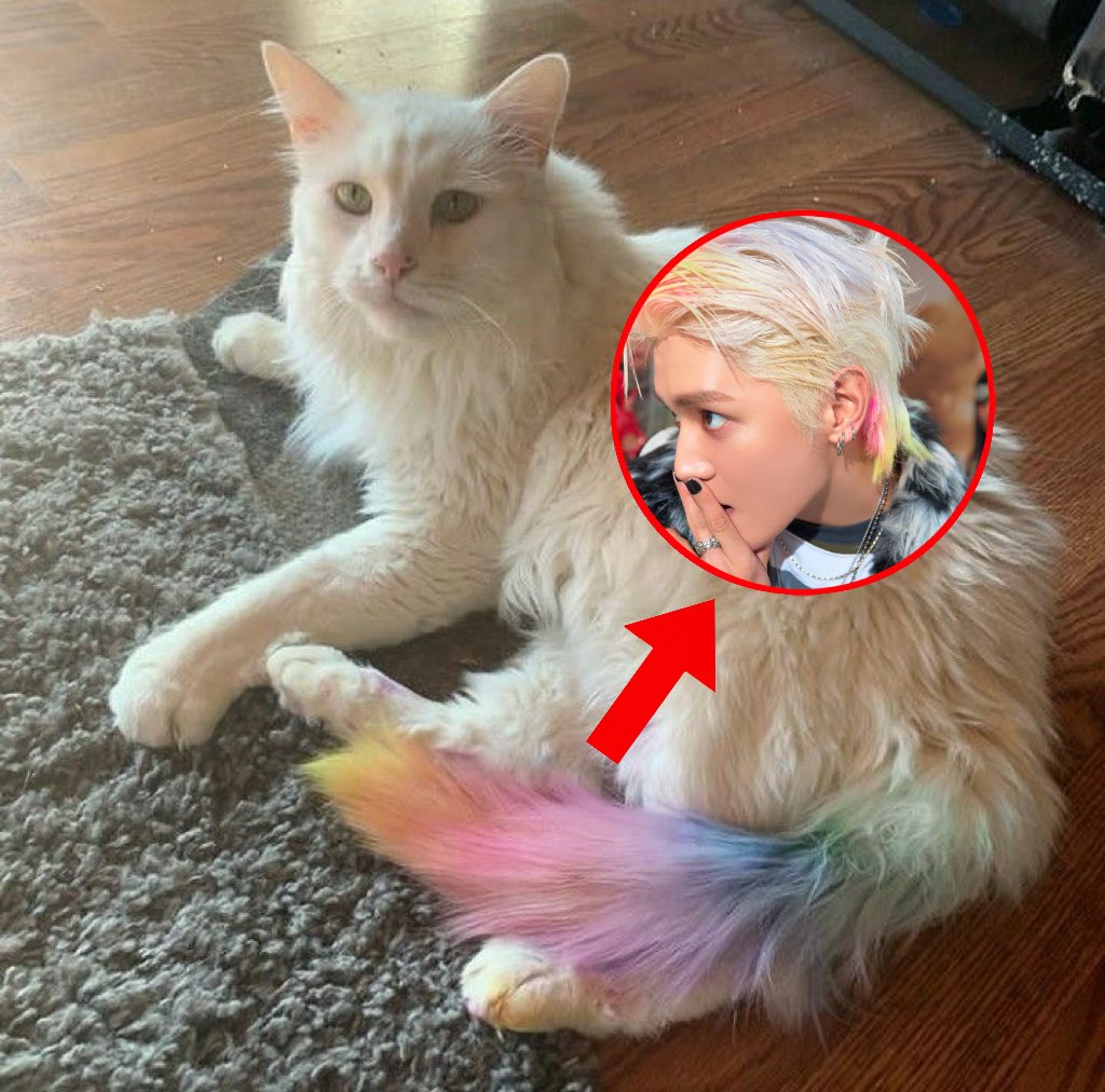 ariayong tweet media